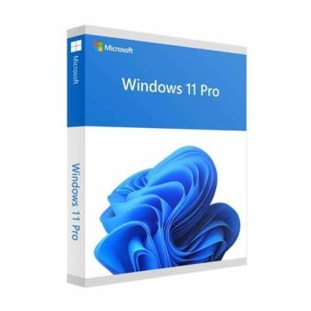 Microsoft Windows 11 Professionnel 64 Bits /Français 