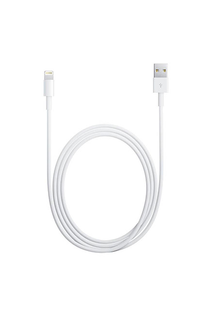 Cable APPLE /Lightning - USB 2.0 /Blanc /2m Pour : iPad - iPhone - iPod                       